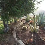 Casa vacanze Casa Del Artista Arona (Tenerife)