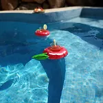 Casa Del Artista Casa vacanze *